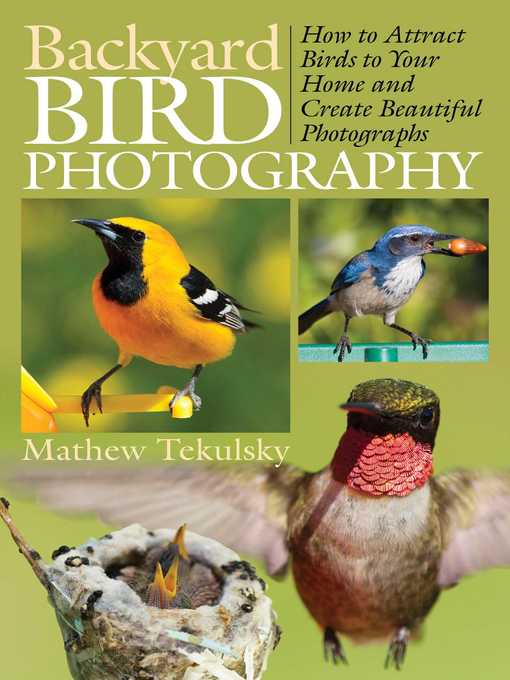 Cover image for Backyard Bird Photography: How to Attract Birds to Your Home and Create Beautiful Photographs